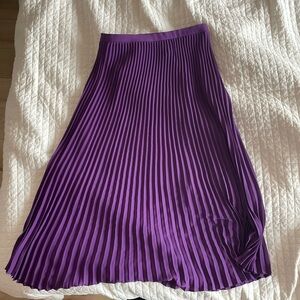 Aritzia/Babaton Jude pleated skirt